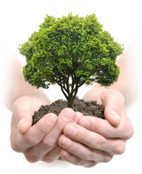 baum baum